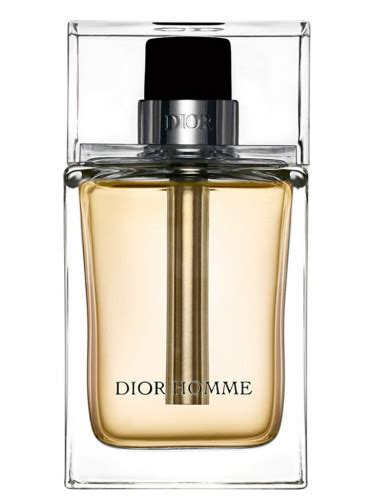 dior homme 2005